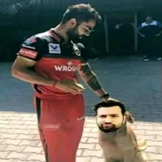 🐕 emoji Kohli @Melbourne169 Telegram sticker 14 of 26
