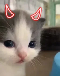 😈 emoji Hehe 😹 :: @op_sticker Telegram sticker 20 of 45
