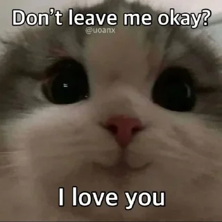 ❤ emoji Hehe 😹 :: @op_sticker Telegram sticker 8 of 45
