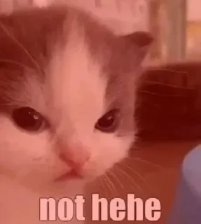 😠 emoji Hehe 😹 :: @op_sticker Telegram sticker 7 of 45