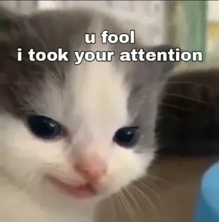 😒 emoji Hehe 😹 :: @op_sticker Telegram sticker 5 of 45