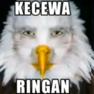 🦅 emoji ap iyh Telegram sticker 23 of 89