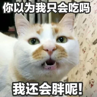 🥺 emoji 叶西枫整合包 Telegram sticker 6 of 120