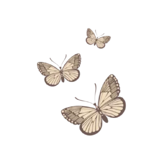 🎞 emoji 𐚁 ⁝ @IldyAllure. Telegram sticker 9 of 15