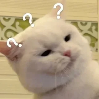 ❔ emoji NN's pathetic Telegram sticker 16 of 120