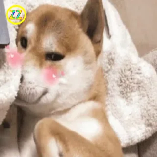 🐶 emoji 定制联系美工 @vipp8p8 更多表情 @zz915 Telegram sticker 13 of 50
