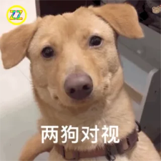 🐶 emoji 定制联系美工 @vipp8p8 更多表情 @zz915 Telegram sticker 11 of 50