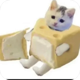 🧀 emoji ㅤ⋆.˚ ᡣ𐭩 .𐙚 @sofnnyangel Telegram sticker 6 of 64