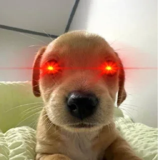 🫤 emoji Woof Telegram sticker 9 of 26