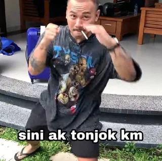 👊 emoji ingyah Telegram sticker 3 of 43