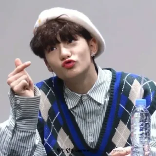 🦙 emoji @inixeyla : hyunjin Telegram sticker 17 of 40