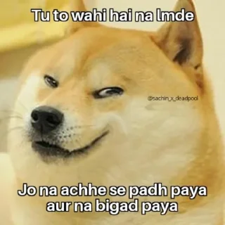 😏 emoji Cheems the doge @Mishrajii_726 (@CalsiBot) Telegram sticker 12 of 56
