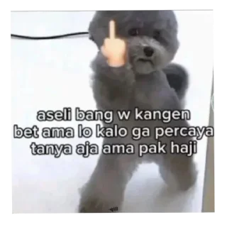 👎 emoji punya zyv @kyorazyv Telegram sticker 7 of 21