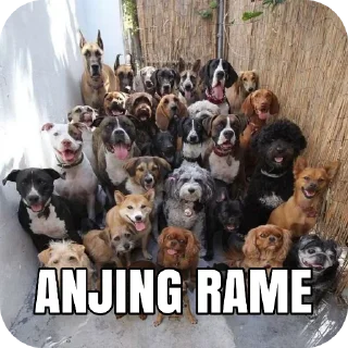 🐶 emoji S° Meme #2 Telegram sticker 10 of 120