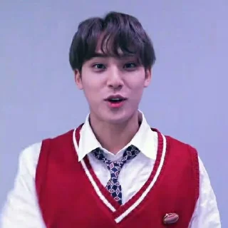 Sticker from ﹟kim mingyu ⋆ @randomtikell