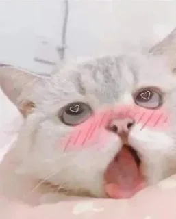 😍 emoji 轩轩LOVE开开 Telegram sticker 6 of 25