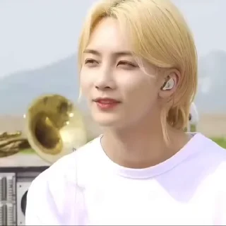 🌟 emoji Randomly Jeonghan’s Dup. Telegram sticker 20 of 23