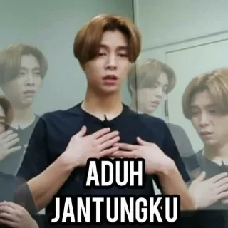 🌱 emoji Nct stiker Telegram sticker 20 of 33