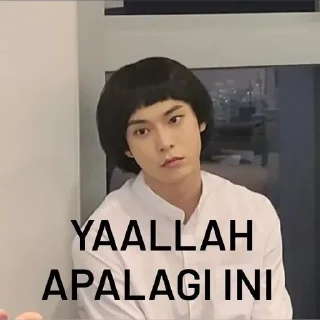 😩 emoji Nctmemeby:@Pacarnnaaalucas Telegram sticker 5 of 23
