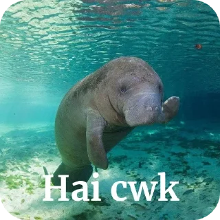 🌊 emoji Dugong Telegram sticker 16 of 22