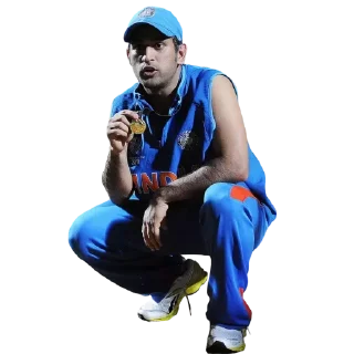 🎫 emoji Cricket Worldcup 2011 ❤️ 🇮🇳 - @CricCollections Telegram sticker 10 of 120