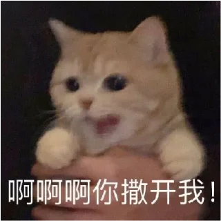 😾 emoji 小动物能有什么坏心眼呢 @xiaotianxinya Telegram sticker 8 of 74