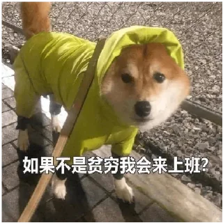 ❓ emoji 小动物能有什么坏心眼呢 @xiaotianxinya Telegram sticker 20 of 74