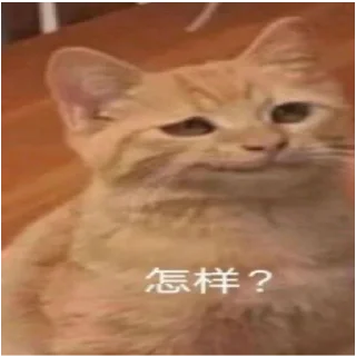 ❓ emoji 小动物能有什么坏心眼呢 @xiaotianxinya Telegram sticker 10 of 74