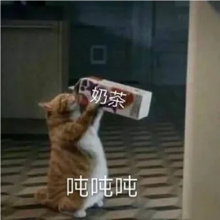 🥤 emoji 小动物能有什么坏心眼呢 @xiaotianxinya Telegram sticker 14 of 74