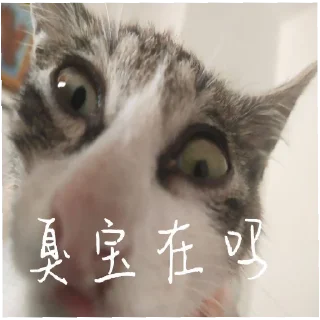 ❓ emoji 小动物能有什么坏心眼呢 @xiaotianxinya Telegram sticker 21 of 74
