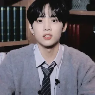 🪶 emoji — kim sunwoo ˖࣪ ·﹆ @gicelyra Telegram sticker 10 of 32