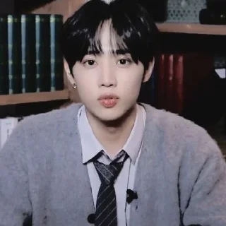 🪶 emoji — kim sunwoo ˖࣪ ·﹆ @gicelyra Telegram sticker 11 of 32