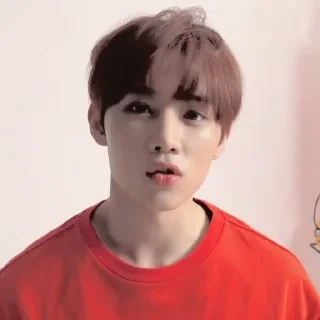 🪶 emoji — kim sunwoo ˖࣪ ·﹆ @gicelyra Telegram sticker 18 of 32