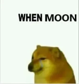 🌝 emoji SHIBA INU Telegram sticker 18 of 24