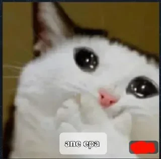 💔 emoji 𝘿𝙚𝙫's Sticker Vol.1 Telegram sticker 18 of 24