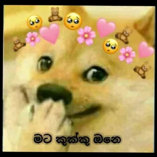 🙊 emoji 𝘿𝙚𝙫's Sticker Vol.1 Telegram sticker 8 of 24