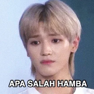 😐 emoji meme bujang nct | @renjunieshi Telegram sticker 24 of 54
