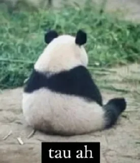 🙈 emoji Restu Sengklek Telegram sticker 18 of 52