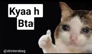 🥲 emoji @R_Squared_Rishabh Vol.1 Telegram sticker 19 of 112