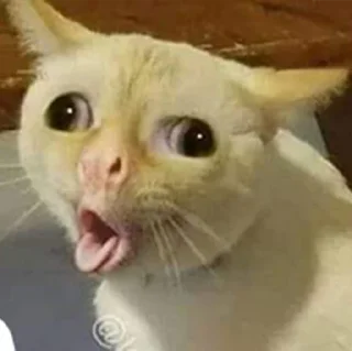 🤮 emoji Huy Huy Telegram sticker 13 of 120