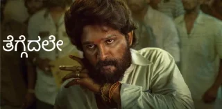 😏 emoji Anji Kiccha Telegram sticker 3 of 16