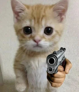 🖕 emoji animal Telegram sticker 9 of 29