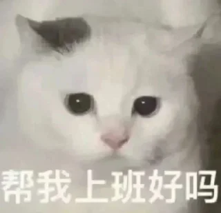 ❤️ emoji 小橘子CDN   @CDN2023 Telegram sticker 6 of 116