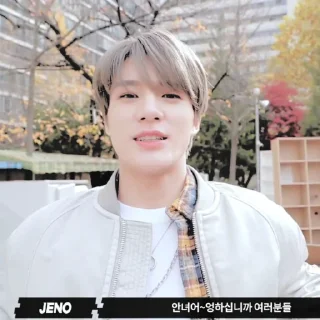 Sticker from ˇ✧. jeno by @stickernct