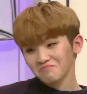 🍚 emoji woozi meme face ─ @sticketwoozi Telegram sticker 10 of 21
