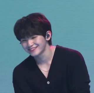 🍚 emoji woozi random Telegram sticker 19 of 24