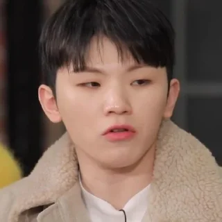 🍚 emoji woozi random Telegram sticker 11 of 24