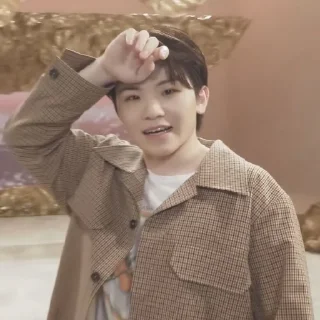 🍚 emoji woozi random Telegram sticker 10 of 24