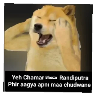 😄 emoji Bleeze k maa rndi Telegram sticker 5 of 10