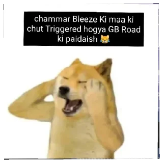 😄 emoji Bleeze k maa rndi Telegram sticker 6 of 10